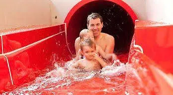 Apartment Living Schoenwies With Private Infrared And Zell Am Kaprun Summercard *
