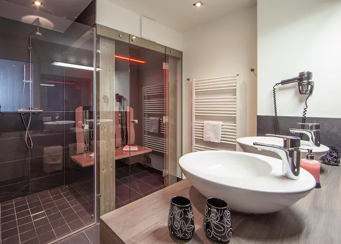 Appartamento Appartement Living Schoenwies Apartments With Private Infrared Cabin And Zell Am See Kaprun Summercard